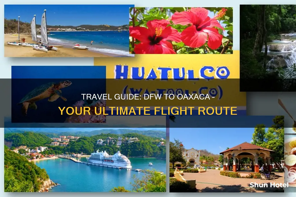how to get to oaxaca from dfw airport