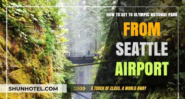 Seattle Airport to Olympic National Park: Your Ultimate Travel Guide
