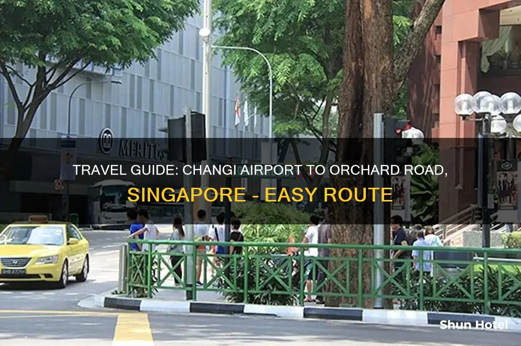 how to get to orchard road from changi airport