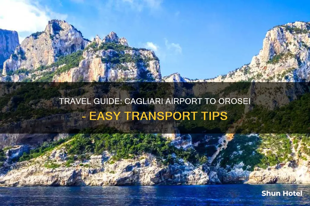 how to get to orosei from cagliari airport