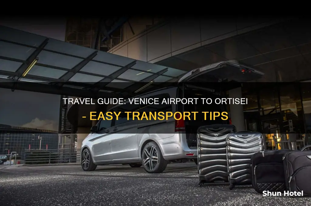 how to get to ortisei from venice airport