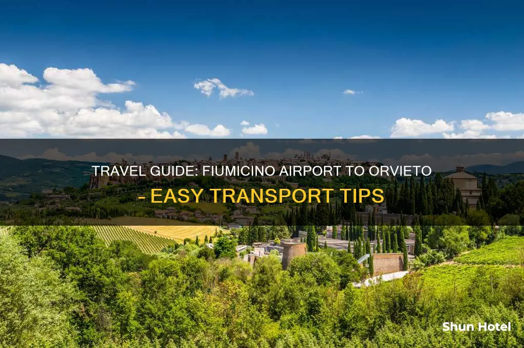 how to get to orvieto from fiumincino airport