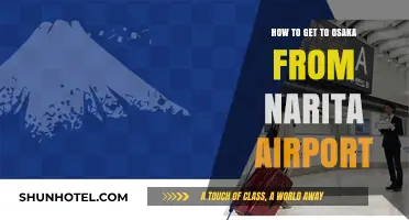 Traveling from Narita Airport to Osaka: A Comprehensive Guide