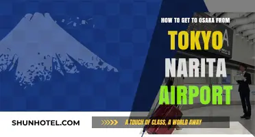 Traveling from Tokyo Narita Airport to Osaka: A Comprehensive Guide