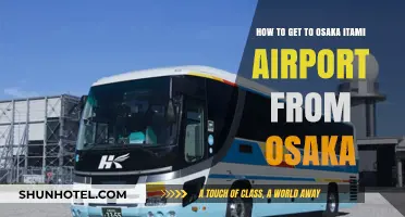 Easiest Ways to Reach Osaka Itami Airport from Osaka City