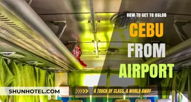 Travel Guide: Airport to Oslob Cebu - Easy Transport Tips