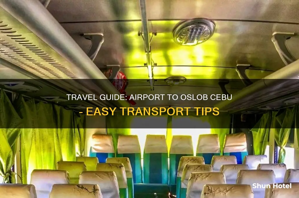 how to get to oslob cebu from airport