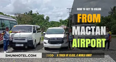 Travel Guide: Mactan Airport to Oslob Cebu Easy Route