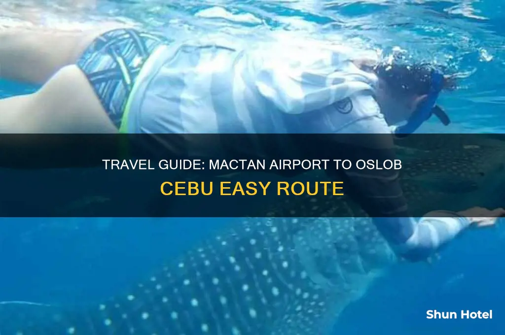 how to get to oslob from mactan airport
