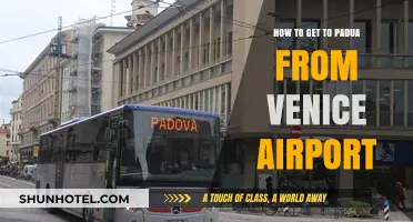 Traveling from Venice Airport to Padua: Easy Transport Options