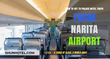 Traveling from Narita Airport to Palace Hotel Tokyo: A Quick Guide