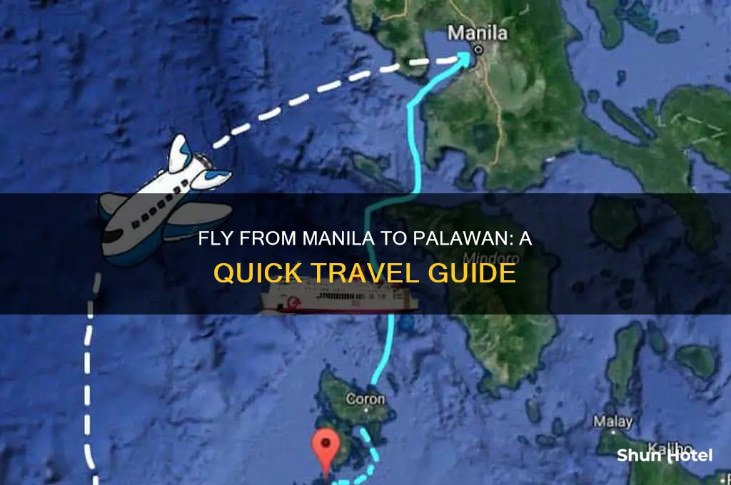 how to get to palawan from manila airport