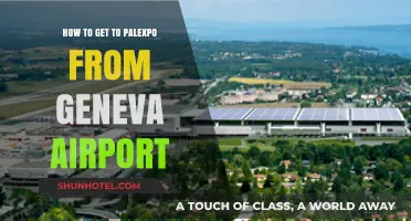Easy Travel Guide: Geneva Airport to Palexpo by Train or Bus