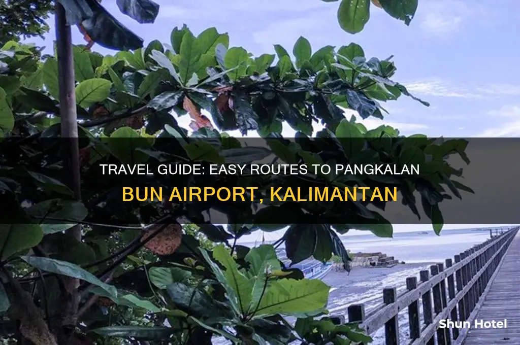 how to get to pangkalan bun airport