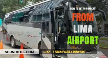 Travel Guide: Lima Airport to Paracas - Easy Transport Tips