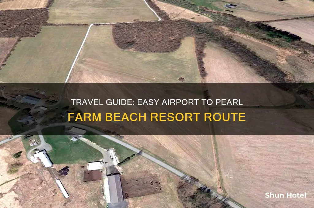 how to get to pearl farm from airport