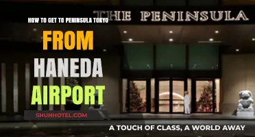 Travel Guide: Haneda Airport to Peninsula Tokyo - Easy Route Tips