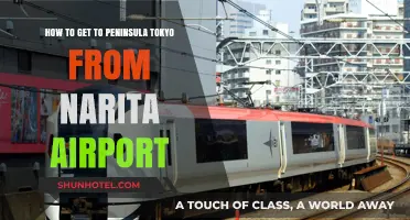 Travel Guide: Narita Airport to Peninsula Tokyo - Easy Route Tips