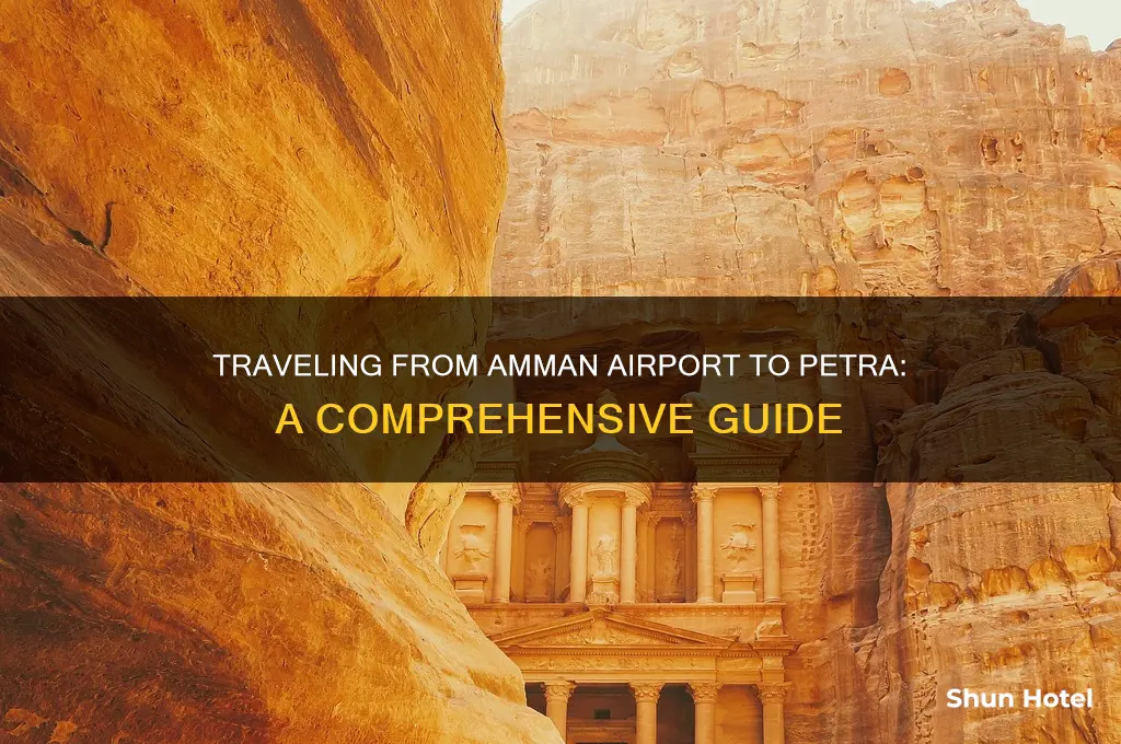 how to get to petra from amman airport