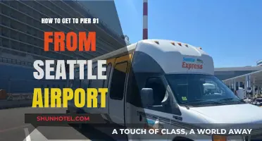 Seattle Airport to Pier 91: Quick & Easy Travel Guide