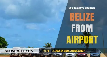 Travel Guide: Placencia Belize Airport Transfer Tips & Routes