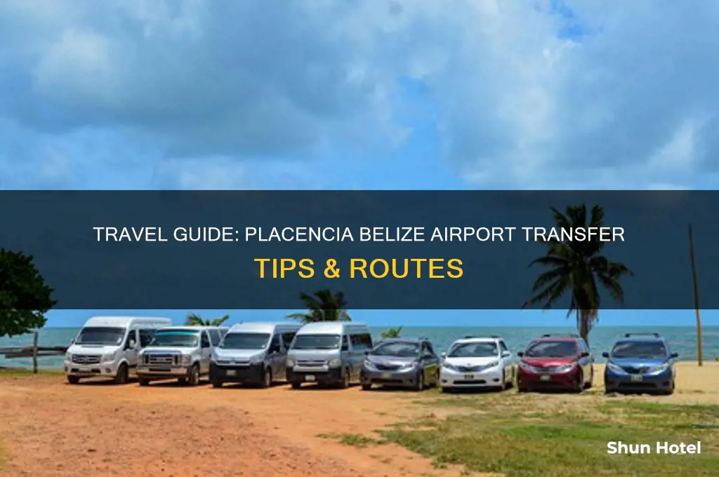 how to get to placencia belize from airport