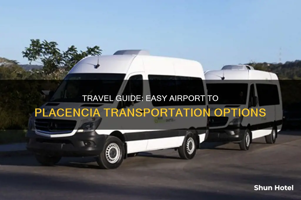 how to get to placencia from the airport