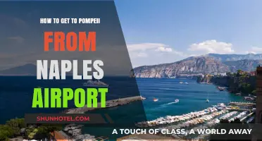 Travel Guide: Naples Airport to Pompeii – Easy Transport Tips
