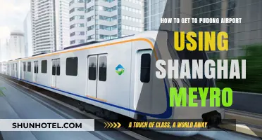 Shanghai Metro Guide: Easy Route to Pudong Airport