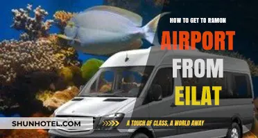 Traveling from Eilat to Ramon Airport: Easy Transportation Guide