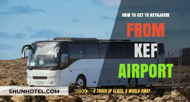 Easy Transport Options: Keflavik Airport to Reykjavik Travel Guide