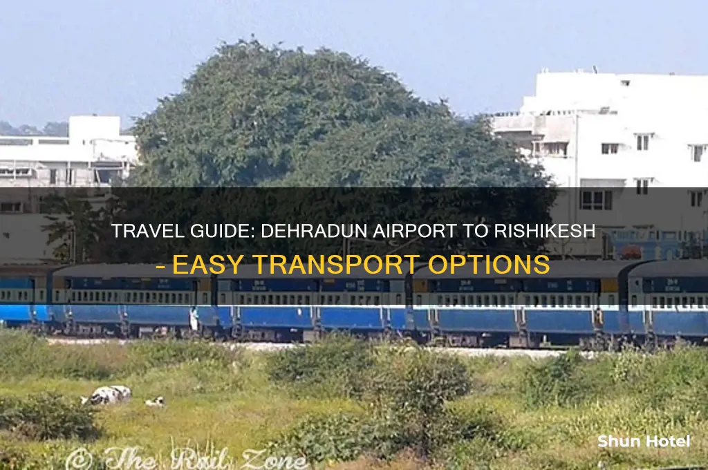 how to get to rishikesh from dehradun airport