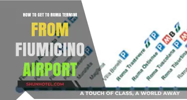 Traveling from Fiumicino Airport to Roma Termini: Easy Transport Guide