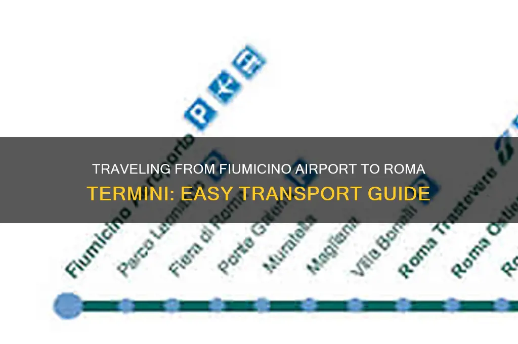 how to get to roma termini from fiumicino airport