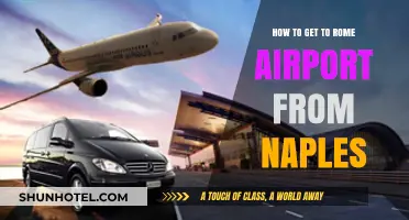 Traveling from Naples to Rome Airport: Easy Transport Options
