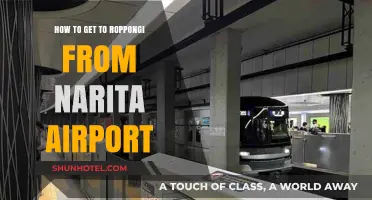 Travel Guide: Narita Airport to Roppongi - Easy Transport Tips