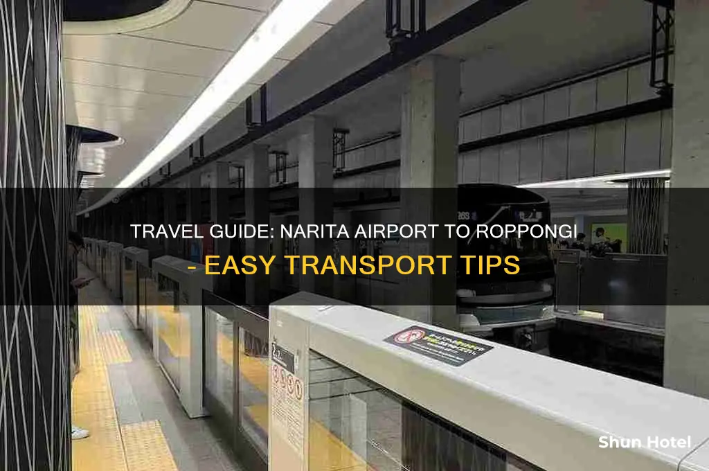 how to get to roppongi from narita airport
