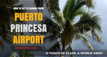 Travel Guide: Puerto Princesa Airport to Sabang Beach Route Tips