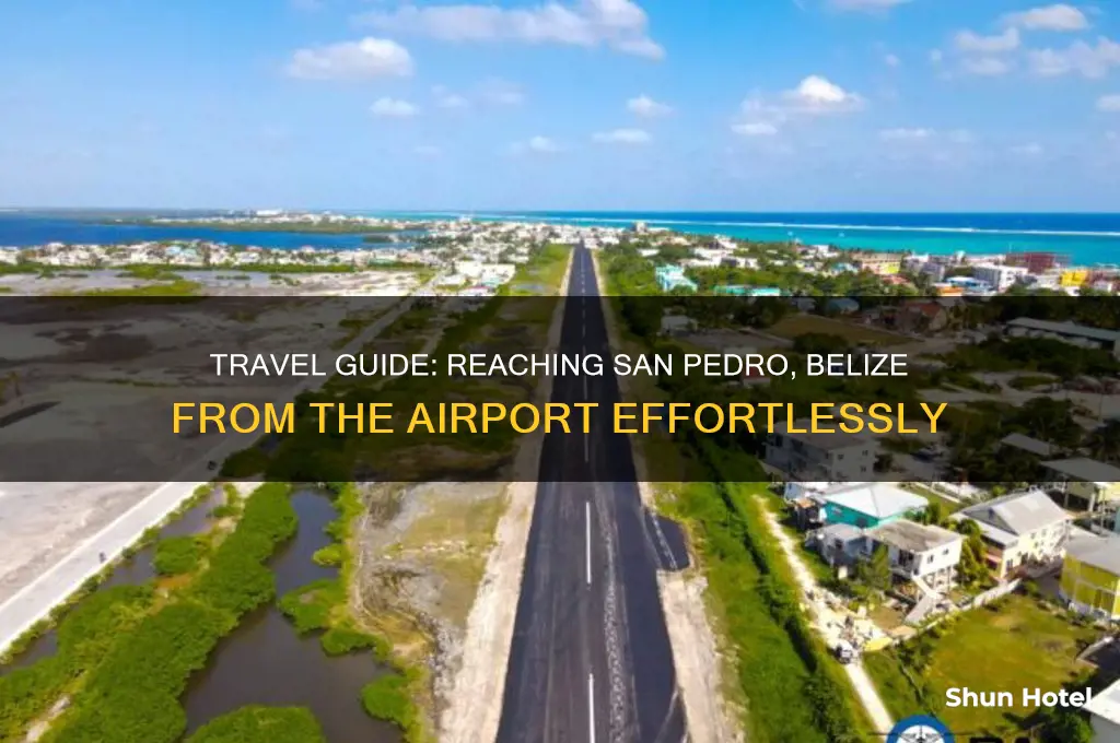 how to get to san pedro belize from airport