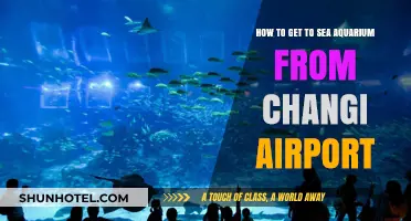 Travel Guide: Changi Airport to SEA Aquarium - Easy Route Tips