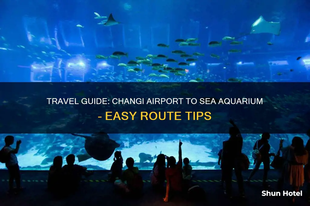 how to get to sea aquarium from changi airport