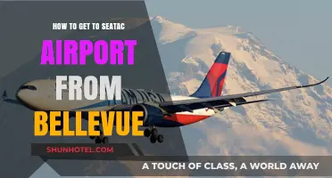Easy Travel Tips: Bellevue to SeaTac Airport Transportation Guide