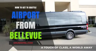 Easy Travel Tips: Bellevue to Seattle Airport Transportation Guide