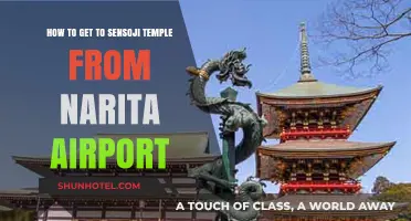Travel Guide: Narita Airport to Sensoji Temple - Easy Route Tips
