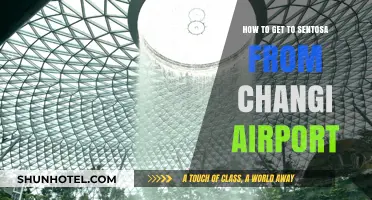 Travel Guide: Easy Ways to Reach Sentosa from Changi Airport