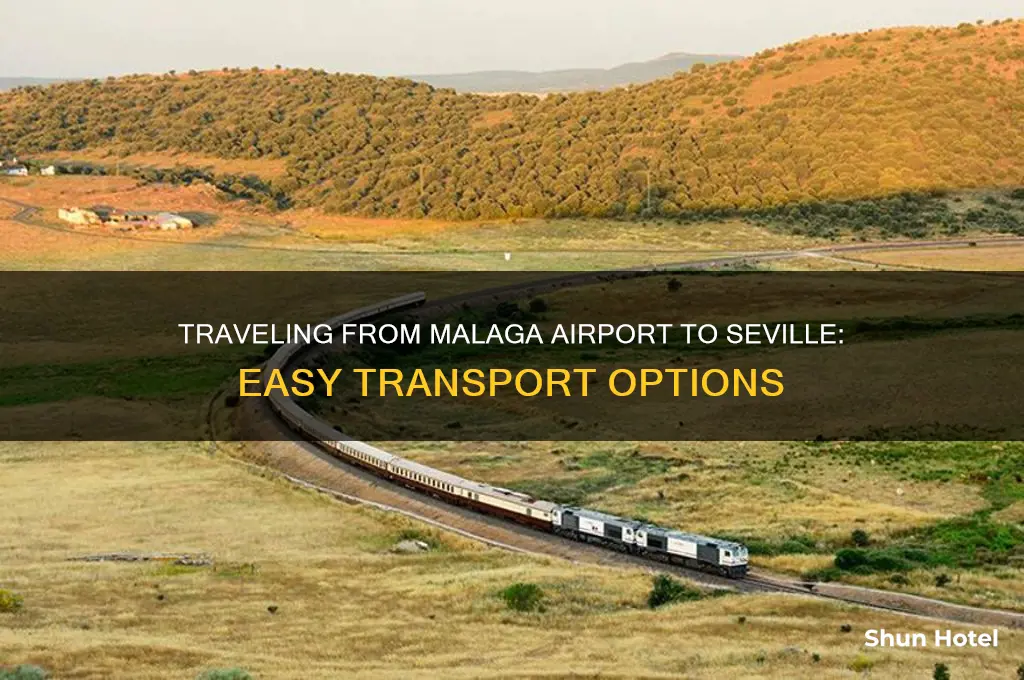 how to get to seville from malaga airport