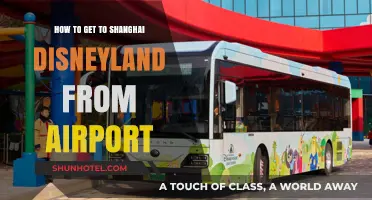 Travel Guide: Reaching Shanghai Disneyland from the Airport Easily