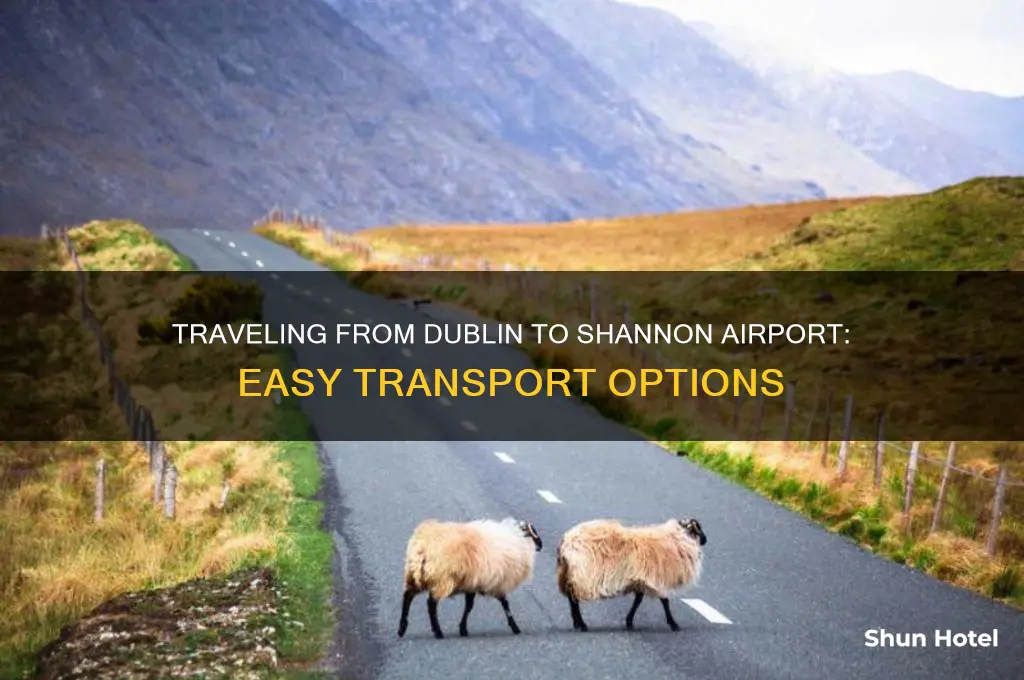 how to get to shannon airport from dublin