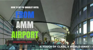 Easy Travel Guide: Reaching Shaqilet Hotel from Amman Airport