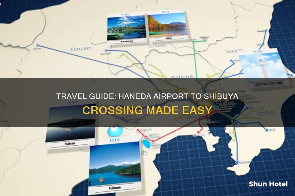 how to get to shibuya crossing from haneda airport